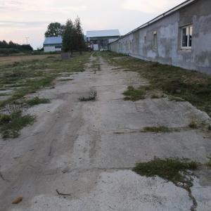 prztearg-zcp-4